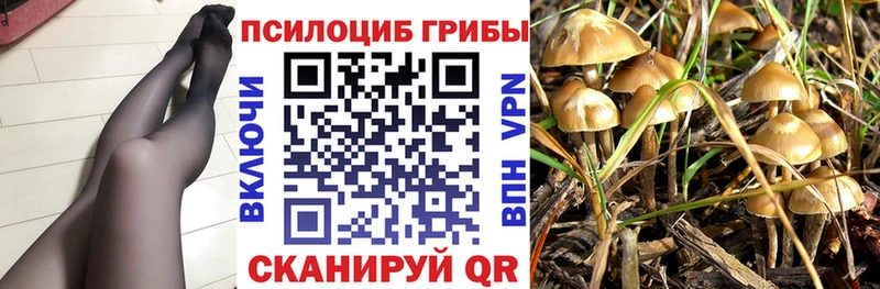 Псилоцибиновые грибы мухоморы  Купить где  Можга 