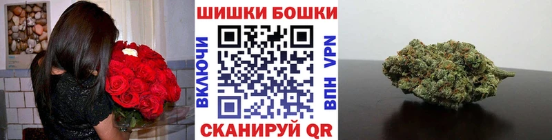 Каннабис конопля Можга