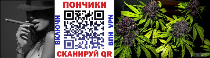 Бошки марихуана планчик  Купить закладки  Можга 